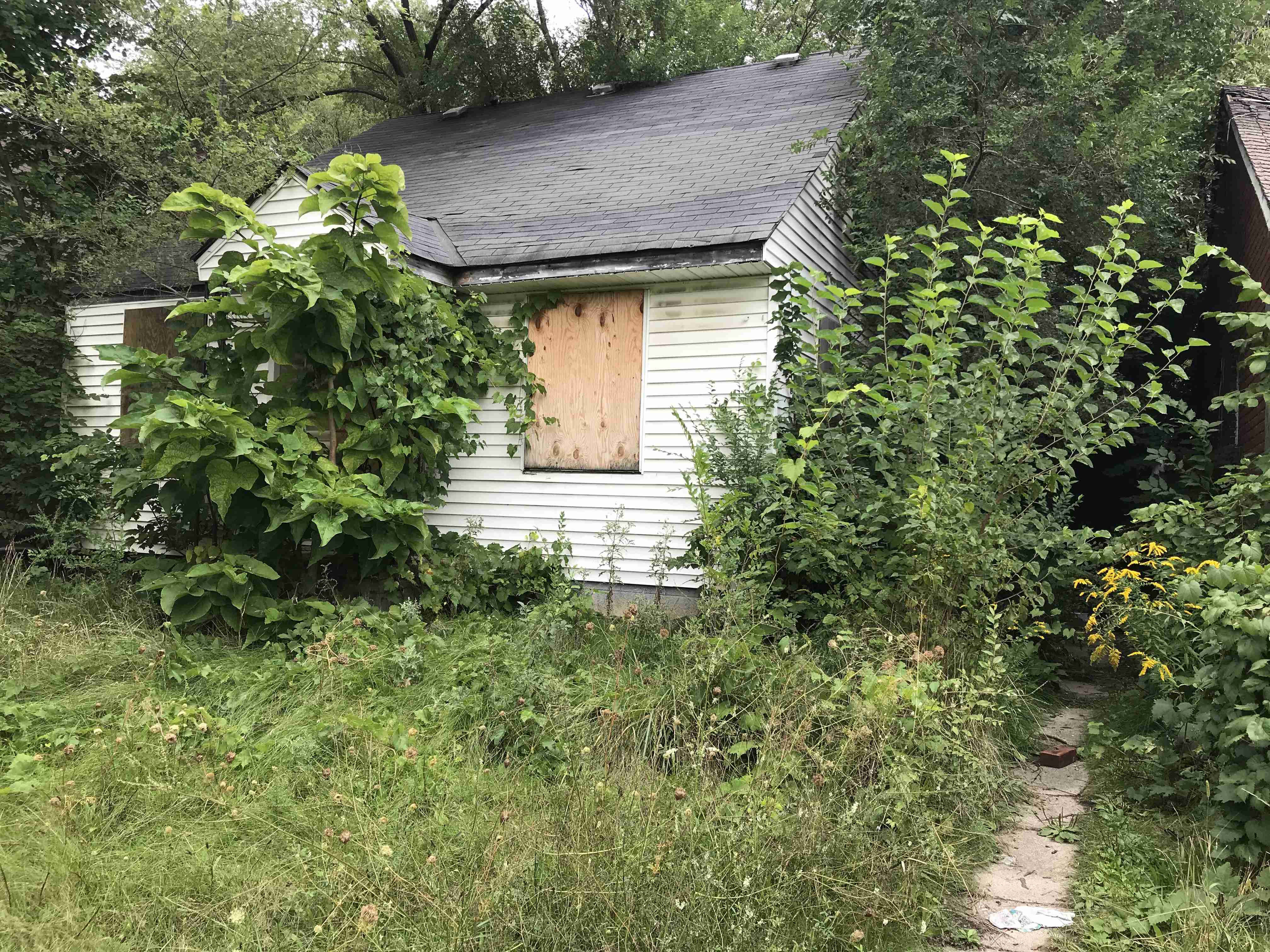 Photo Sep 10, 3 01 40 PM.jpg